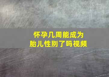 怀孕几周能成为胎儿性别了吗视频