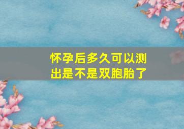 怀孕后多久可以测出是不是双胞胎了