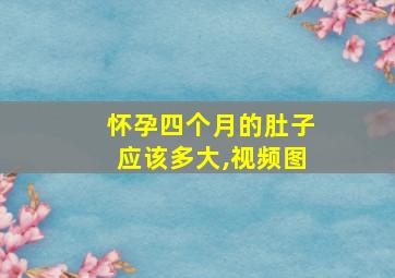 怀孕四个月的肚子应该多大,视频图