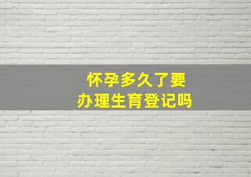 怀孕多久了要办理生育登记吗