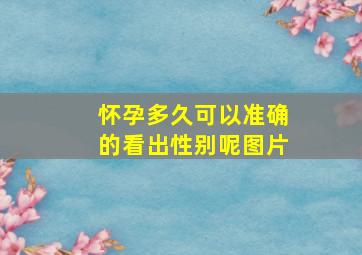 怀孕多久可以准确的看出性别呢图片