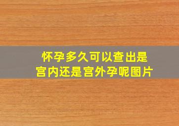 怀孕多久可以查出是宫内还是宫外孕呢图片