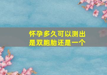 怀孕多久可以测出是双胞胎还是一个