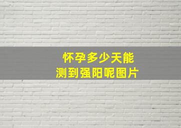 怀孕多少天能测到强阳呢图片