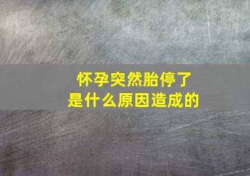 怀孕突然胎停了是什么原因造成的