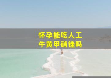 怀孕能吃人工牛黄甲硝锉吗