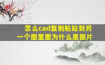 怎么cad复制粘贴到另一个图里面为什么是图片