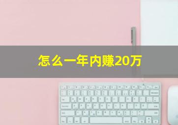 怎么一年内赚20万