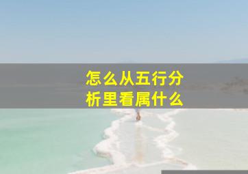 怎么从五行分析里看属什么