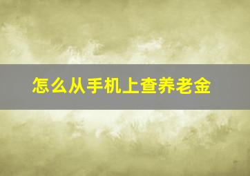 怎么从手机上查养老金