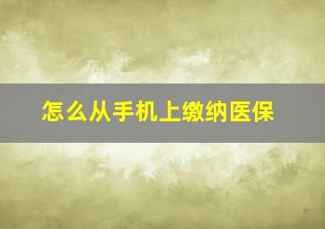 怎么从手机上缴纳医保