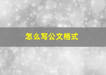 怎么写公文格式