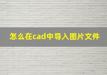 怎么在cad中导入图片文件