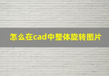 怎么在cad中整体旋转图片