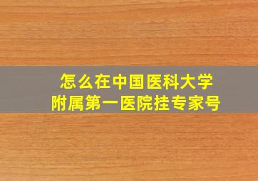 怎么在中国医科大学附属第一医院挂专家号