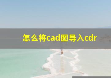 怎么将cad图导入cdr