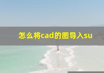 怎么将cad的图导入su