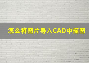 怎么将图片导入CAD中描图