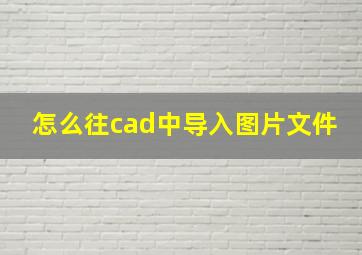 怎么往cad中导入图片文件