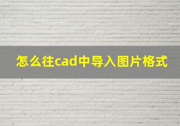 怎么往cad中导入图片格式