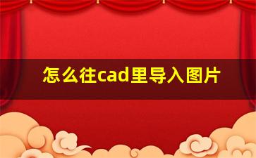 怎么往cad里导入图片