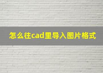 怎么往cad里导入图片格式