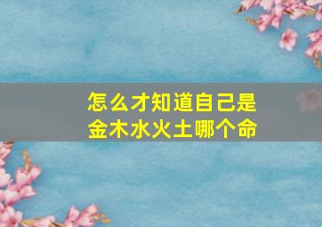 怎么才知道自己是金木水火土哪个命