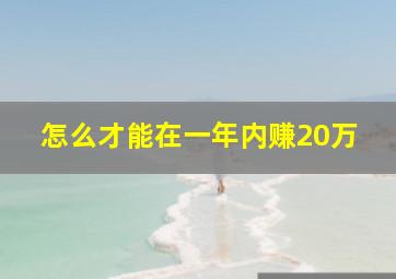 怎么才能在一年内赚20万