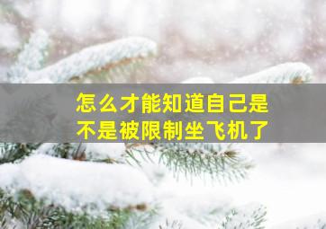 怎么才能知道自己是不是被限制坐飞机了