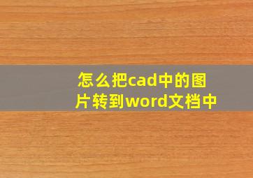 怎么把cad中的图片转到word文档中