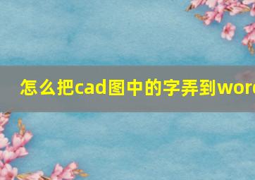 怎么把cad图中的字弄到word