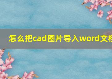 怎么把cad图片导入word文档