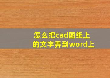 怎么把cad图纸上的文字弄到word上