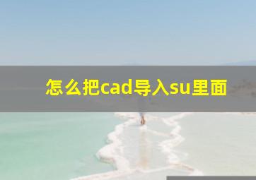 怎么把cad导入su里面