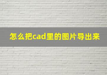 怎么把cad里的图片导出来