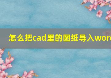 怎么把cad里的图纸导入word