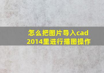 怎么把图片导入cad2014里进行描图操作