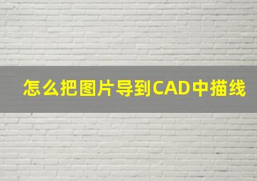 怎么把图片导到CAD中描线