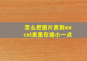 怎么把图片弄到excel表里在缩小一点