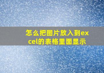 怎么把图片放入到excel的表格里面显示