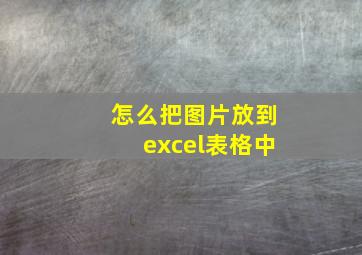 怎么把图片放到excel表格中