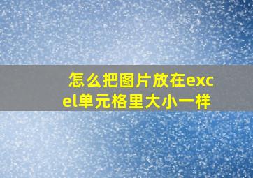 怎么把图片放在excel单元格里大小一样