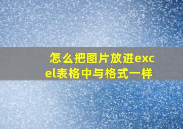 怎么把图片放进excel表格中与格式一样