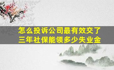 怎么投诉公司最有效交了三年社保能领多少失业金