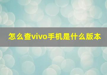 怎么查vivo手机是什么版本