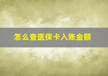 怎么查医保卡入账金额