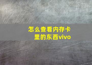 怎么查看内存卡里的东西vivo