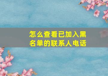 怎么查看已加入黑名单的联系人电话