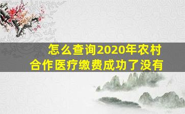 怎么查询2020年农村合作医疗缴费成功了没有