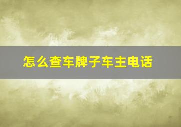 怎么查车牌子车主电话